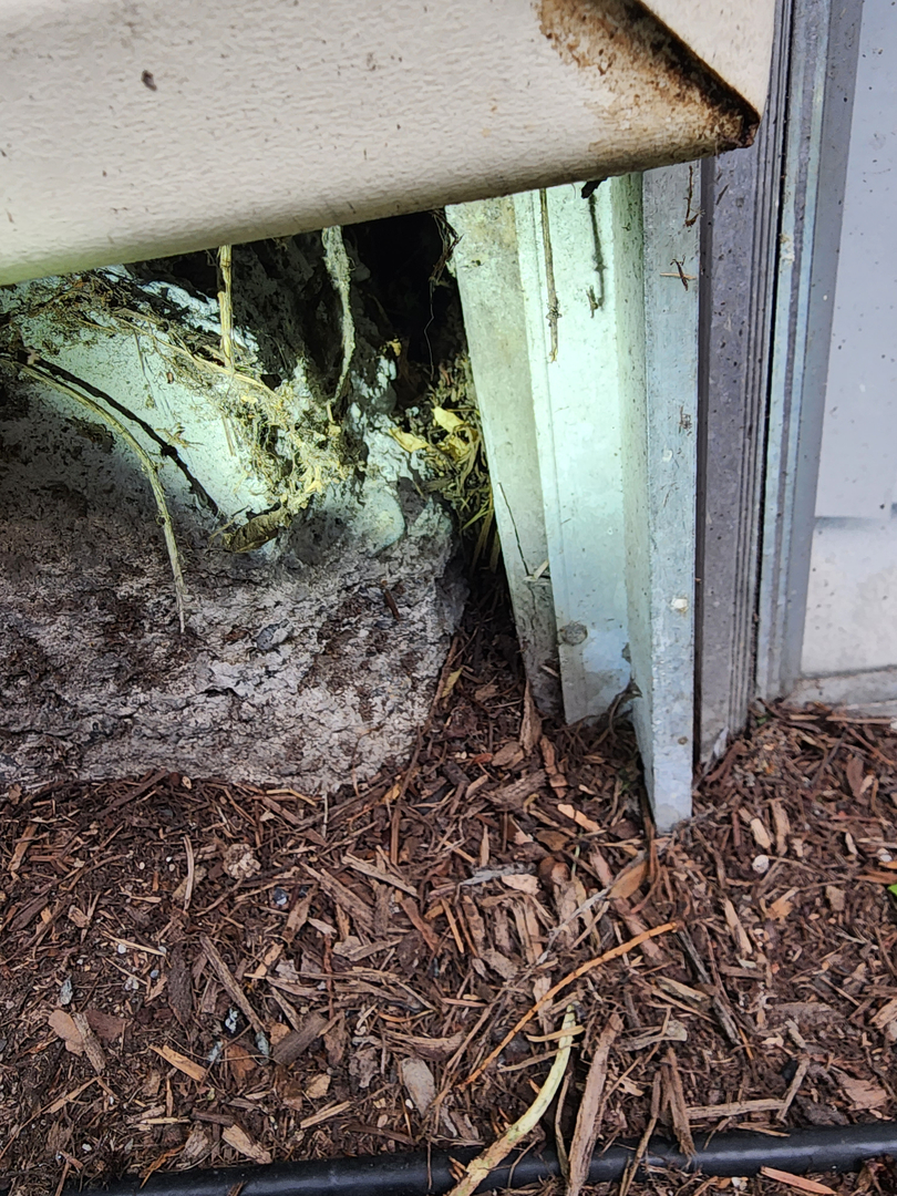 Bugnation, LLC - Seattle, WA