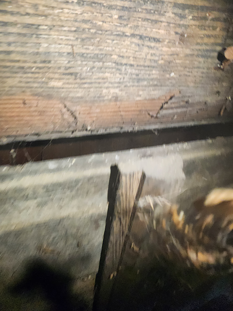 Bugnation, LLC - Seattle, WA