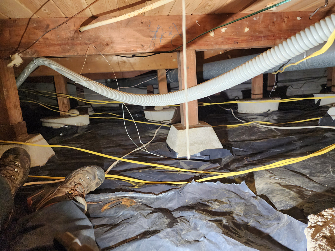 Bugnation, LLC - Seattle, WA