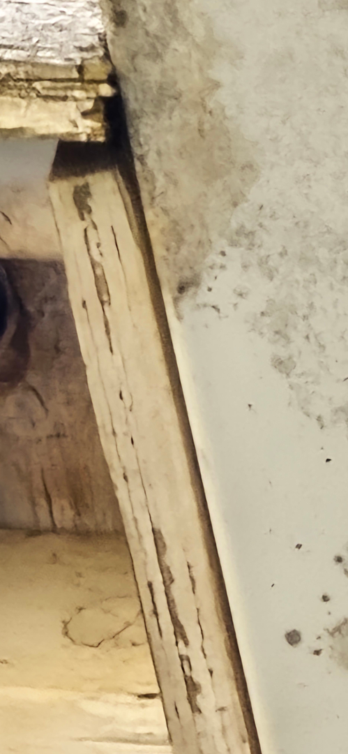 Bugnation, LLC - Seattle, WA