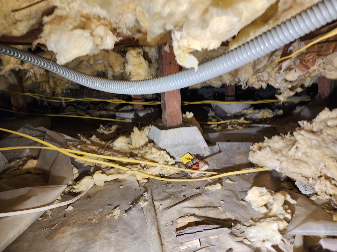 Bugnation, LLC - Seattle, WA