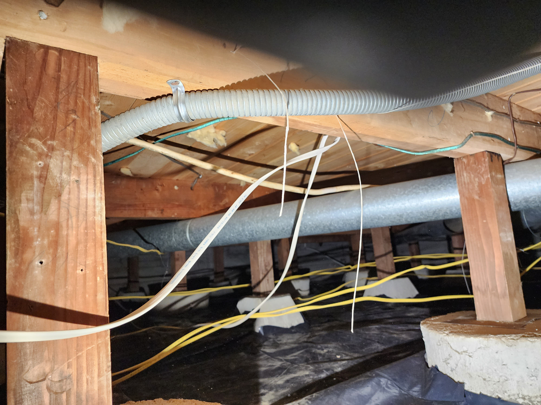 Bugnation, LLC - Seattle, WA