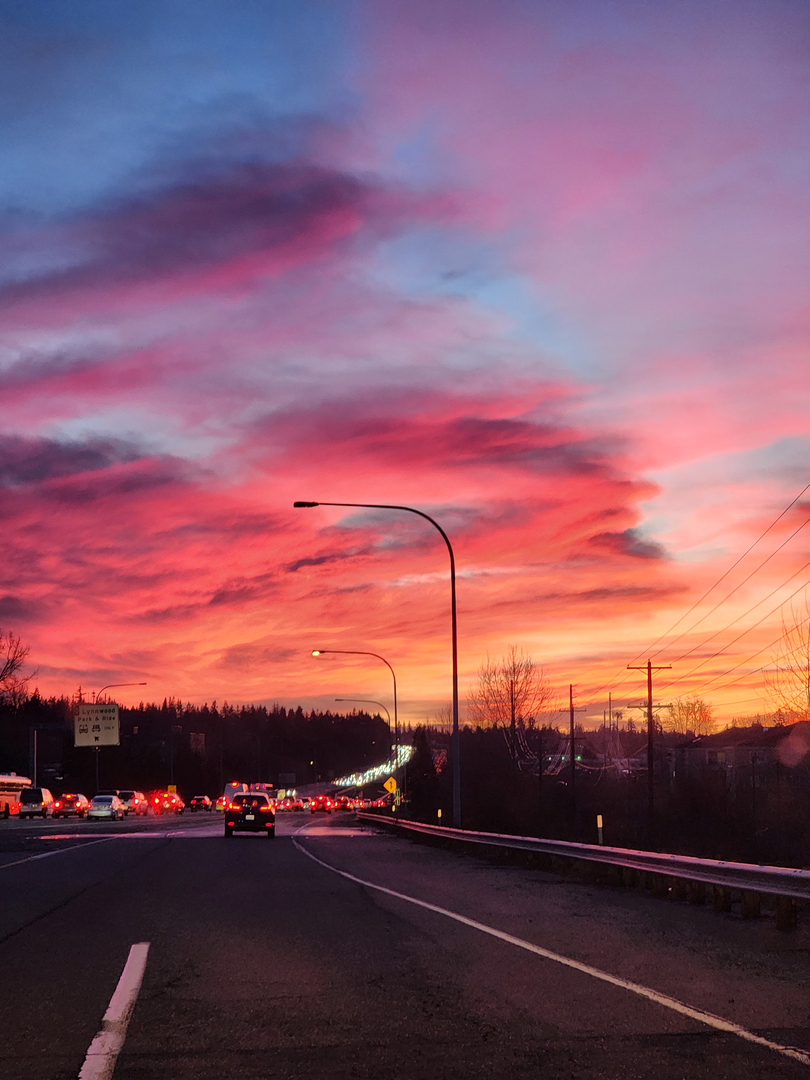 Bugnation, LLC - Seattle, WA