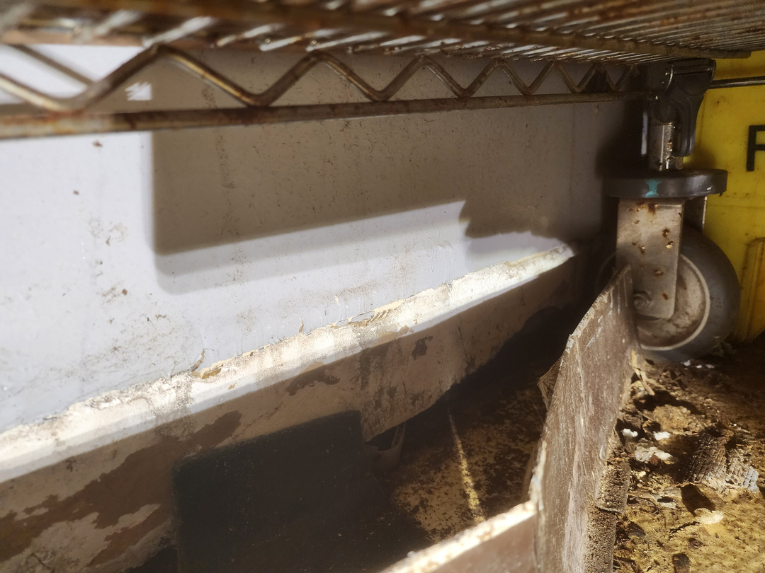 Bugnation, LLC - Seattle, WA