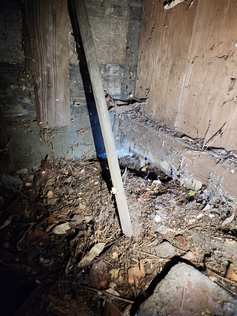 Bugnation, LLC - Seattle, WA