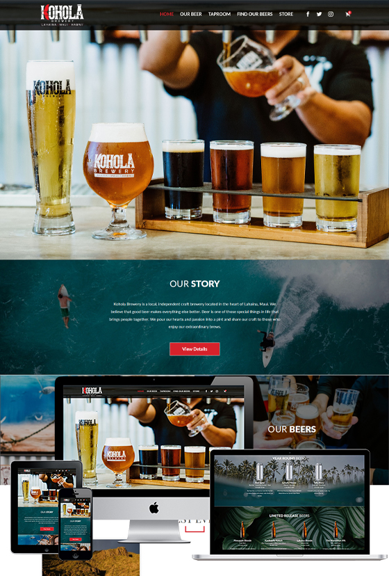 Webmaster Services Hawaii Image