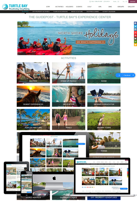 Webmaster Services Hawaii Image