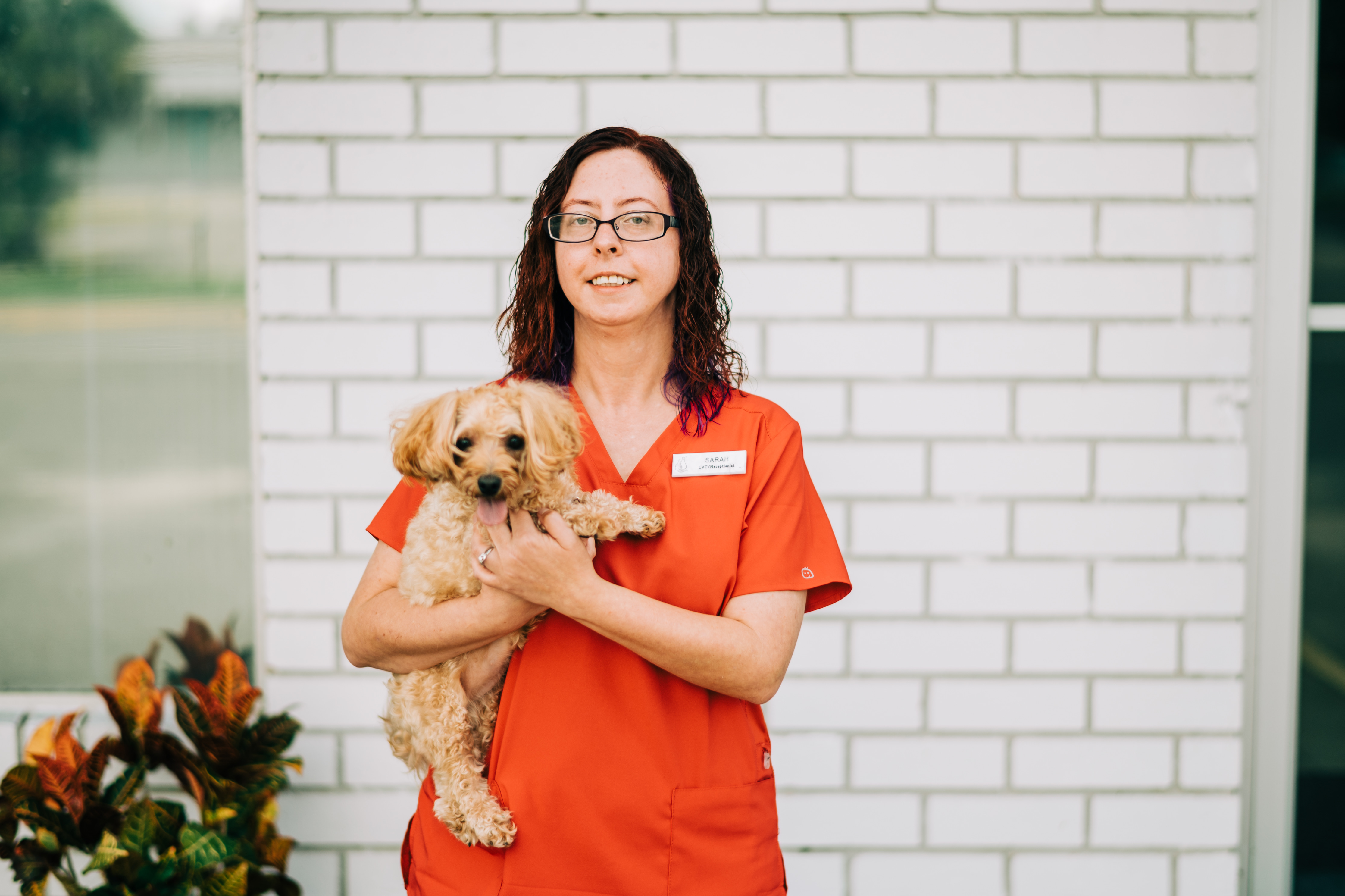 All County Animal Hospital - Brooksville, FL