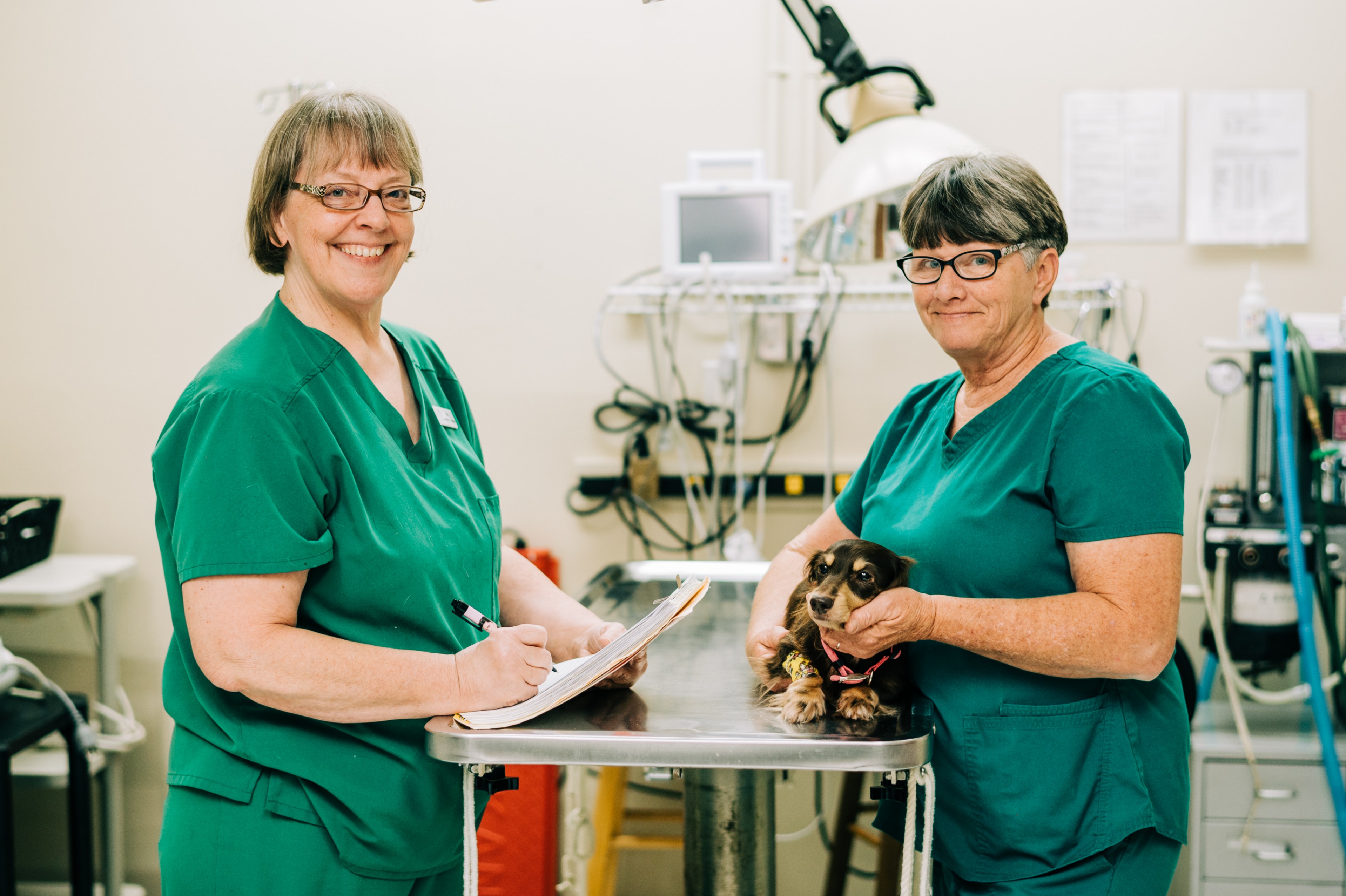 All County Animal Hospital - Brooksville, FL