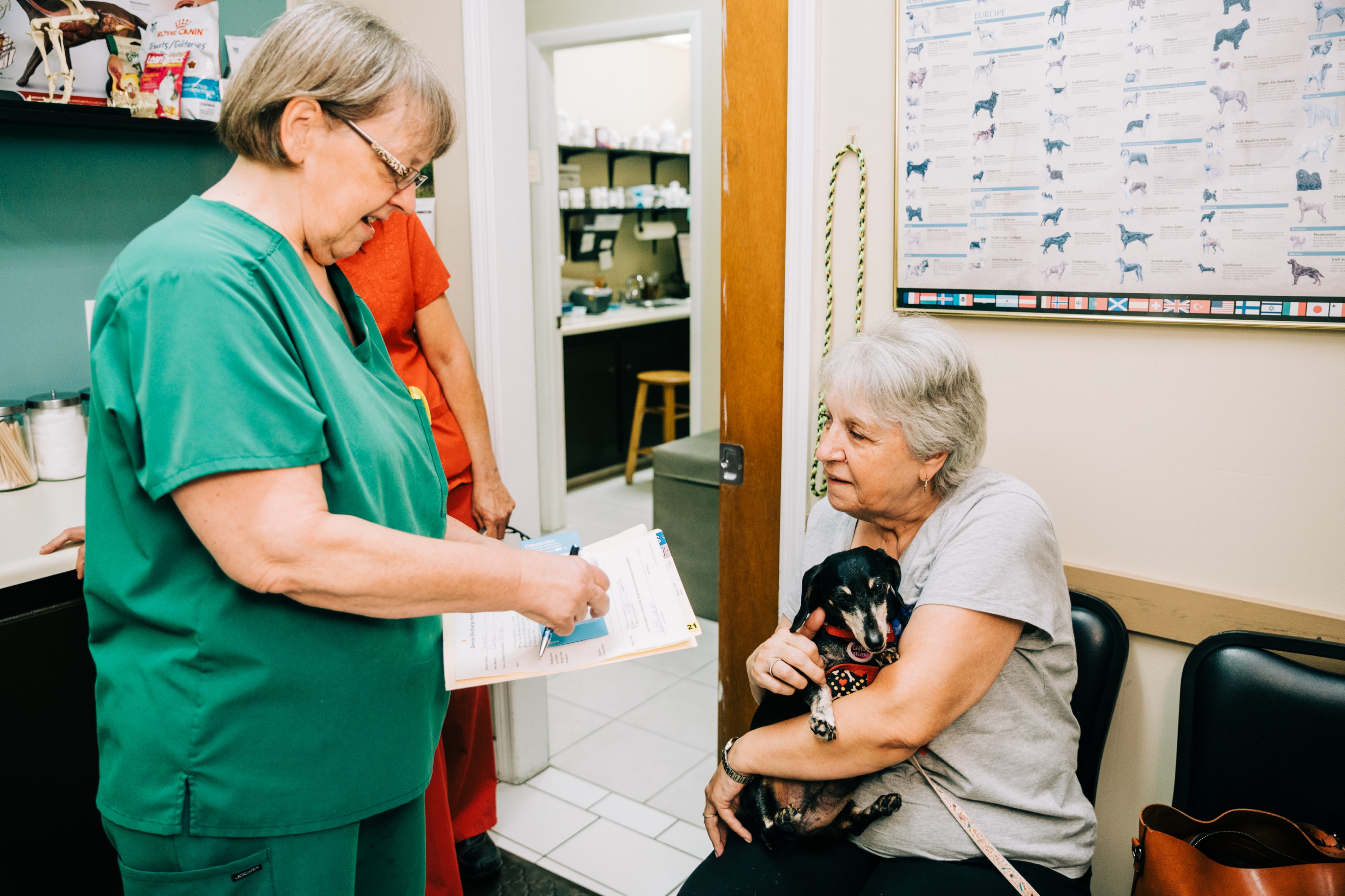 All County Animal Hospital - Brooksville, FL