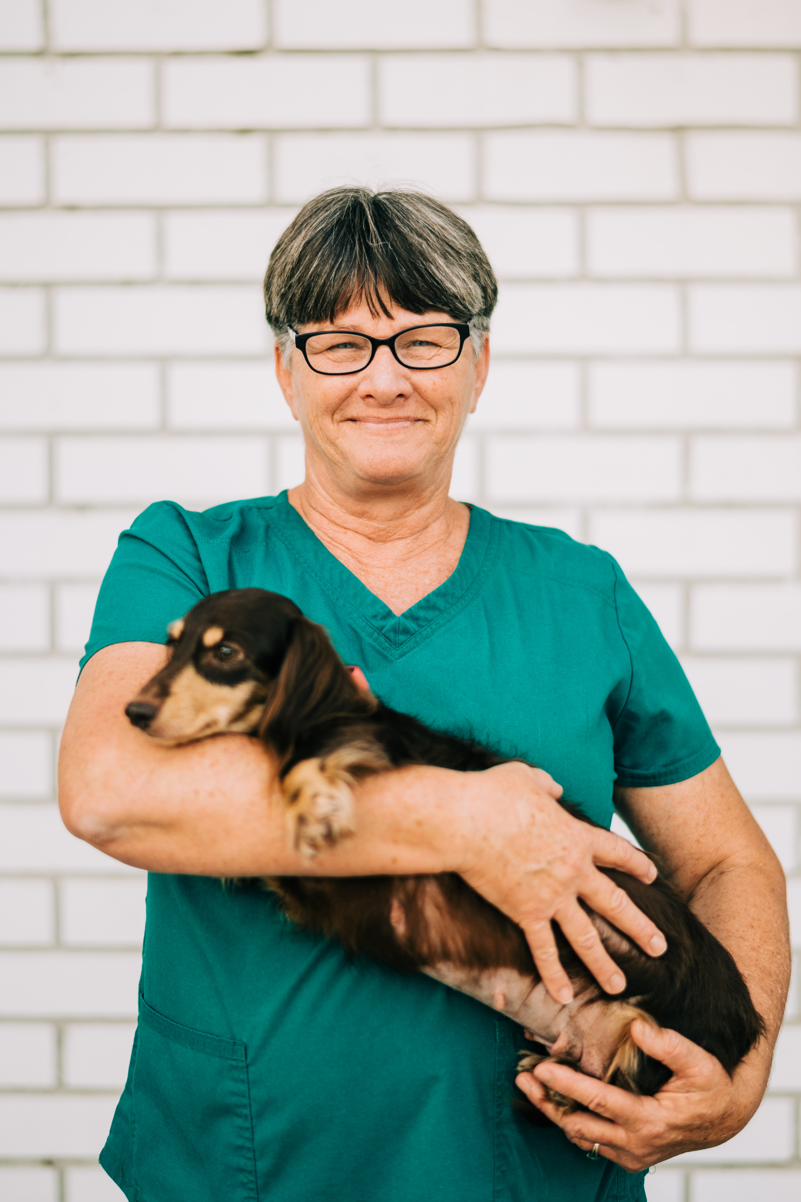 All County Animal Hospital - Brooksville, FL