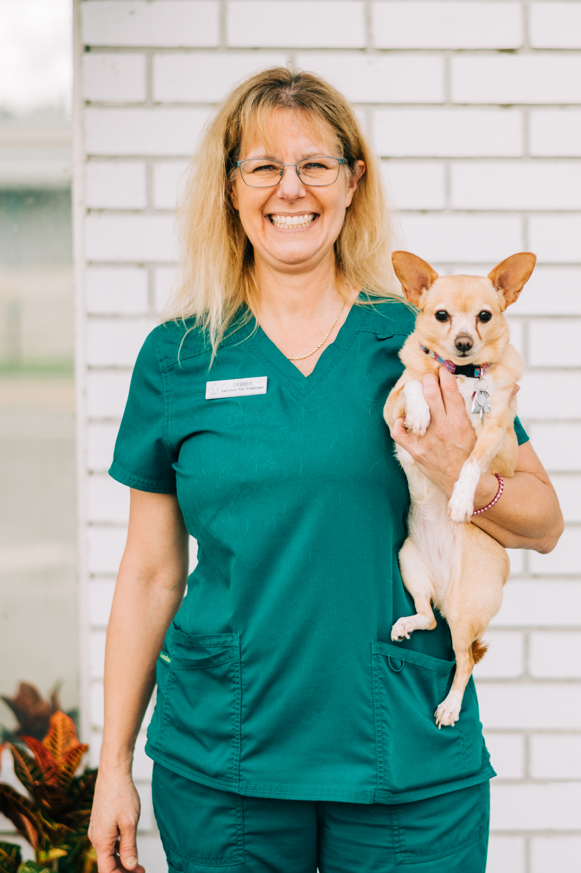 All County Animal Hospital - Brooksville, FL