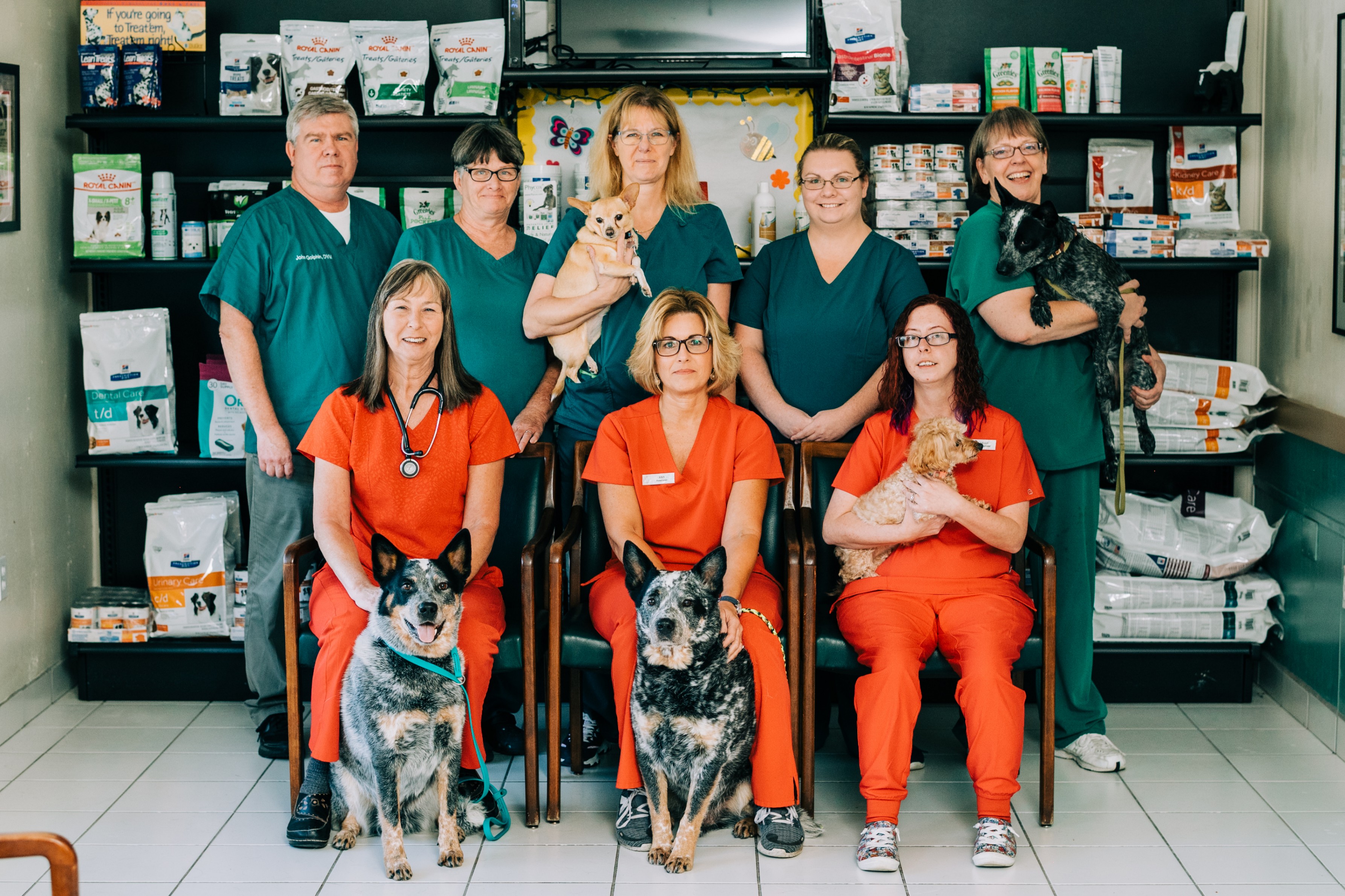 All County Animal Hospital - Brooksville, FL