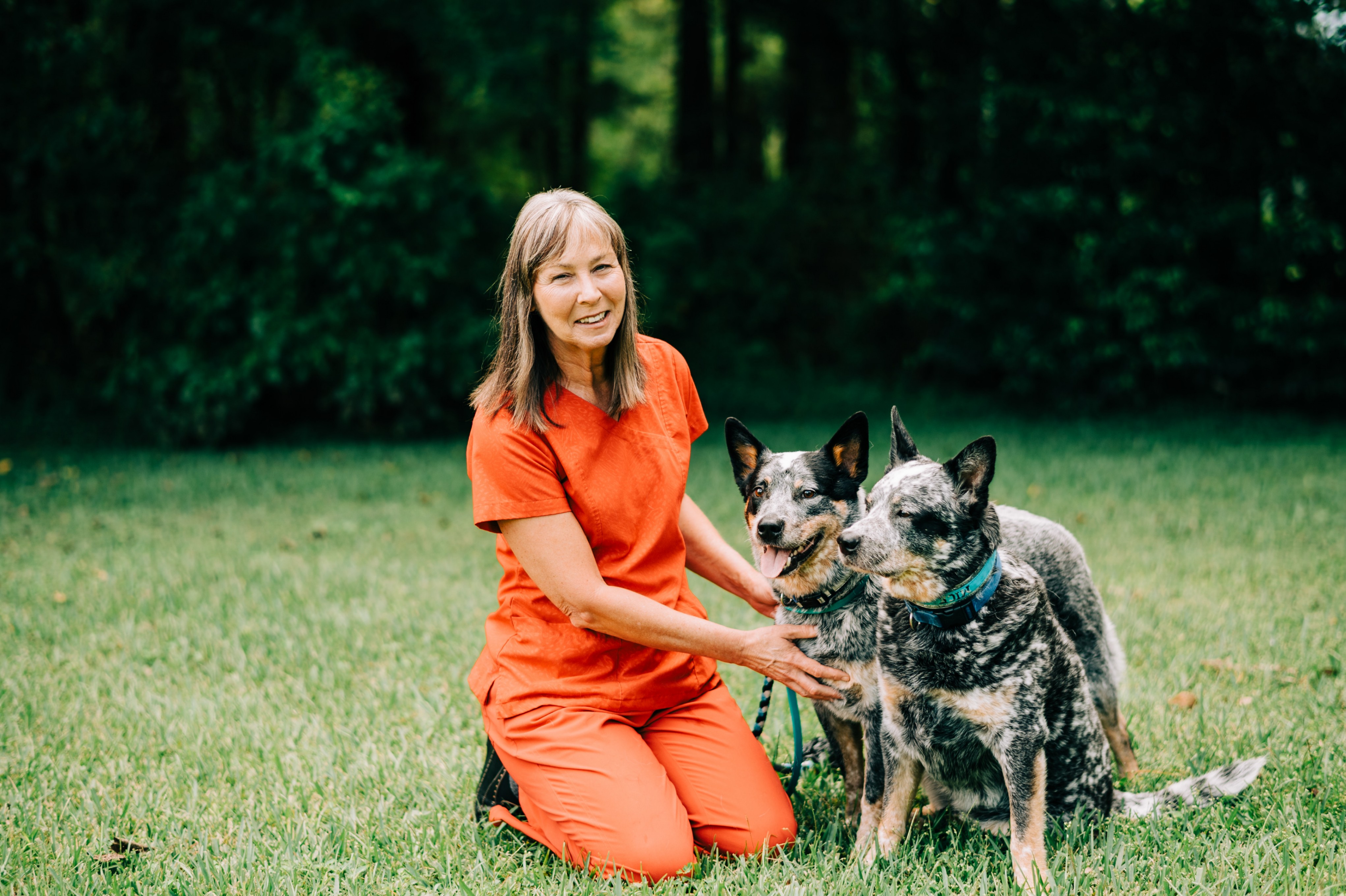 All County Animal Hospital - Brooksville, FL