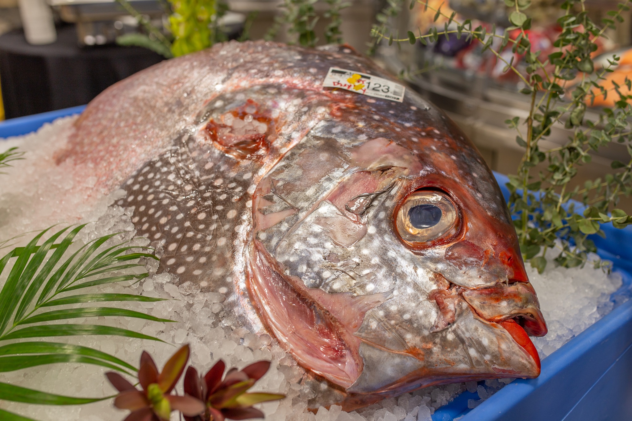 FRESH by Brookshire's - Royse City, TX