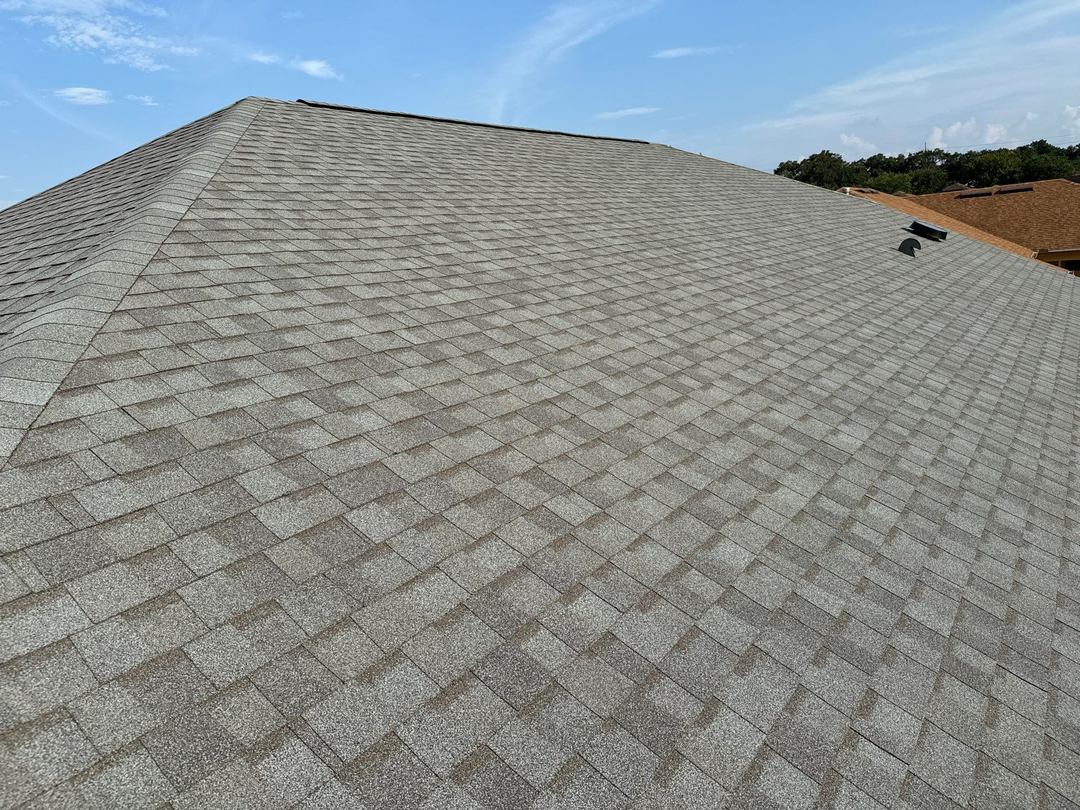 RoofElite - Lutz, FL