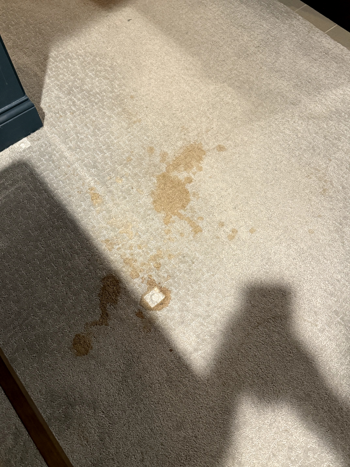 Johnny On The Spot Carpet, Upholstery & Oriental Rug Cleaning Image