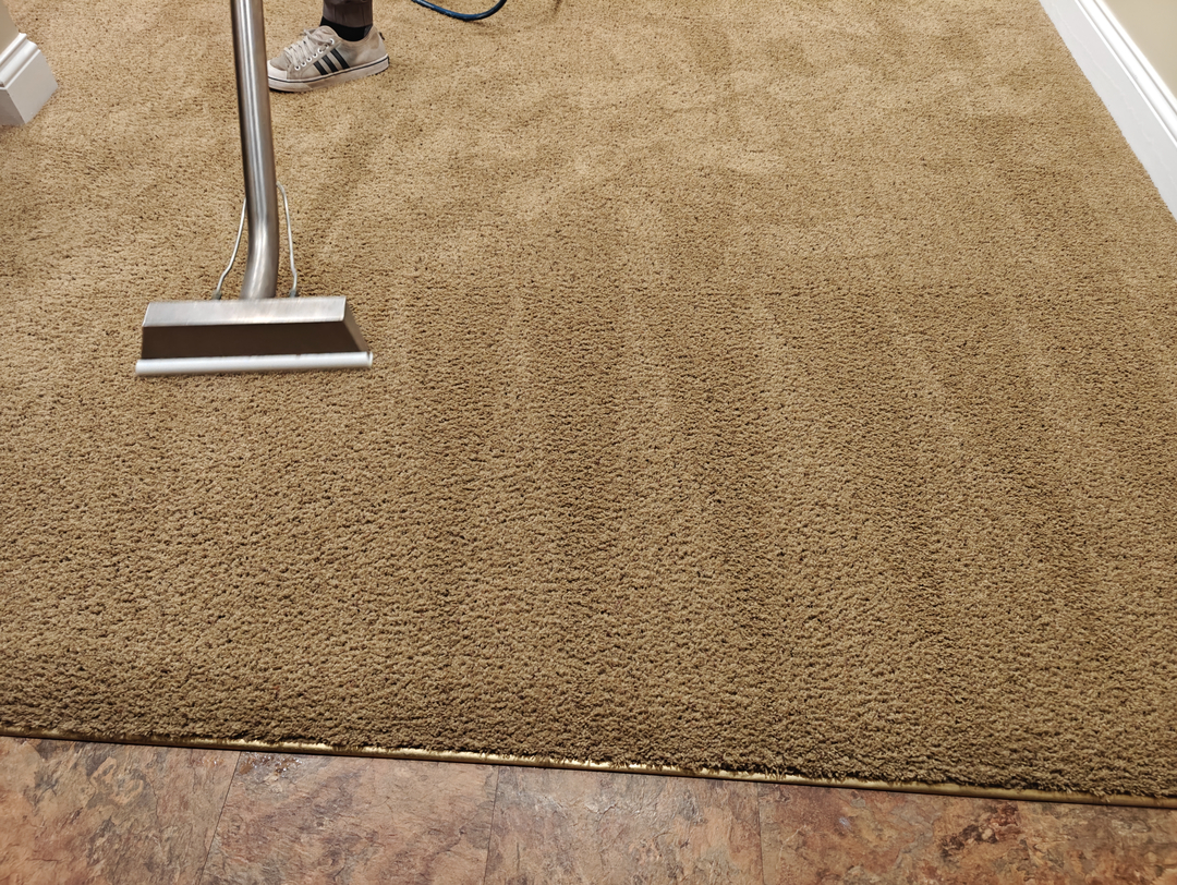 Johnny On The Spot Carpet, Upholstery & Oriental Rug Cleaning Image