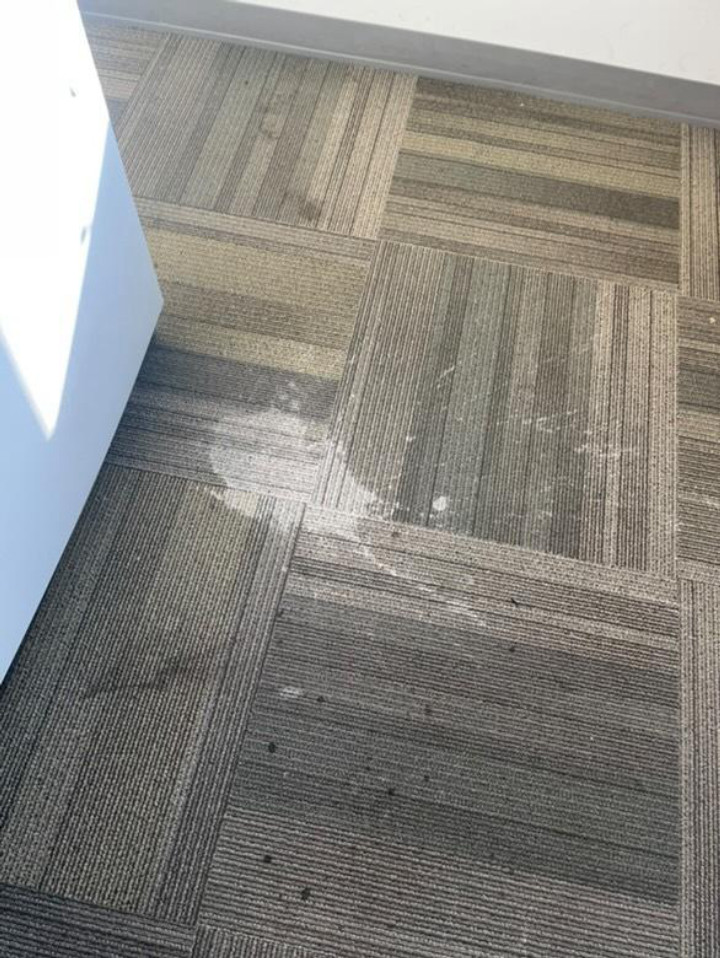 Johnny On The Spot Carpet, Upholstery & Oriental Rug Cleaning Image