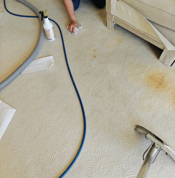 Johnny On The Spot Carpet, Upholstery & Oriental Rug Cleaning Image