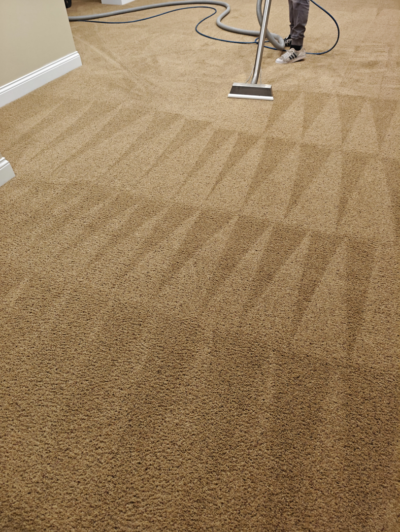 Johnny On The Spot Carpet, Upholstery & Oriental Rug Cleaning Image