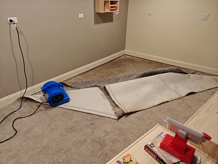 Johnny On The Spot Carpet, Upholstery & Oriental Rug Cleaning Image