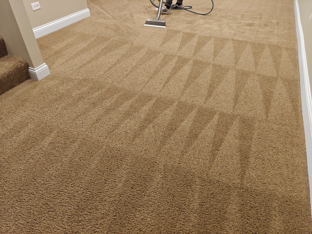 Johnny On The Spot Carpet, Upholstery & Oriental Rug Cleaning Image