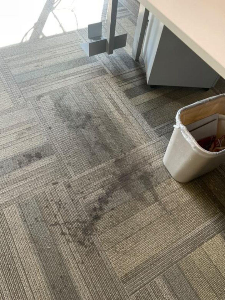 Johnny On The Spot Carpet, Upholstery & Oriental Rug Cleaning Image