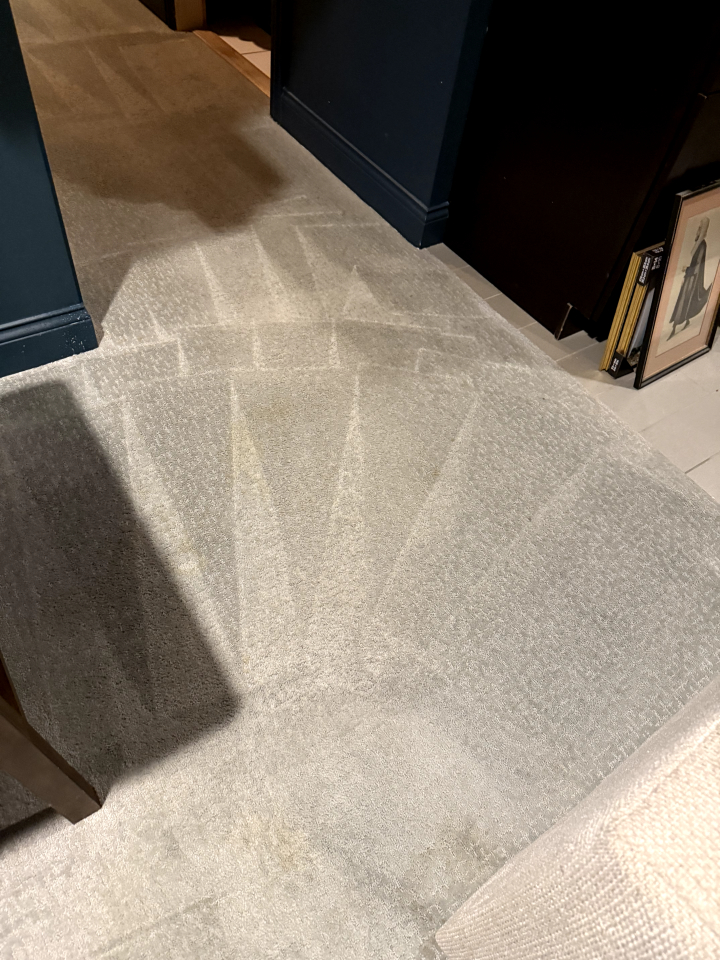 Johnny On The Spot Carpet, Upholstery & Oriental Rug Cleaning Image