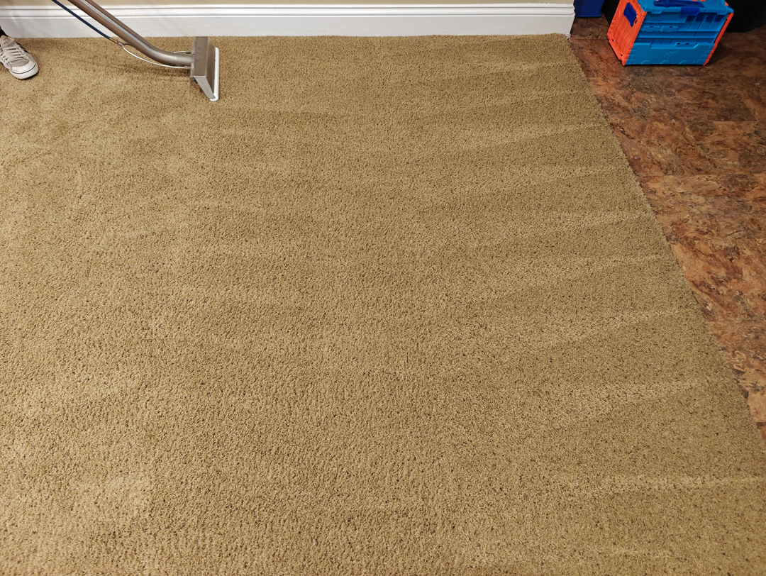 Johnny On The Spot Carpet, Upholstery & Oriental Rug Cleaning Image