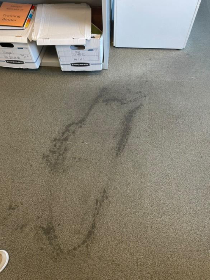 Johnny On The Spot Carpet, Upholstery & Oriental Rug Cleaning Image