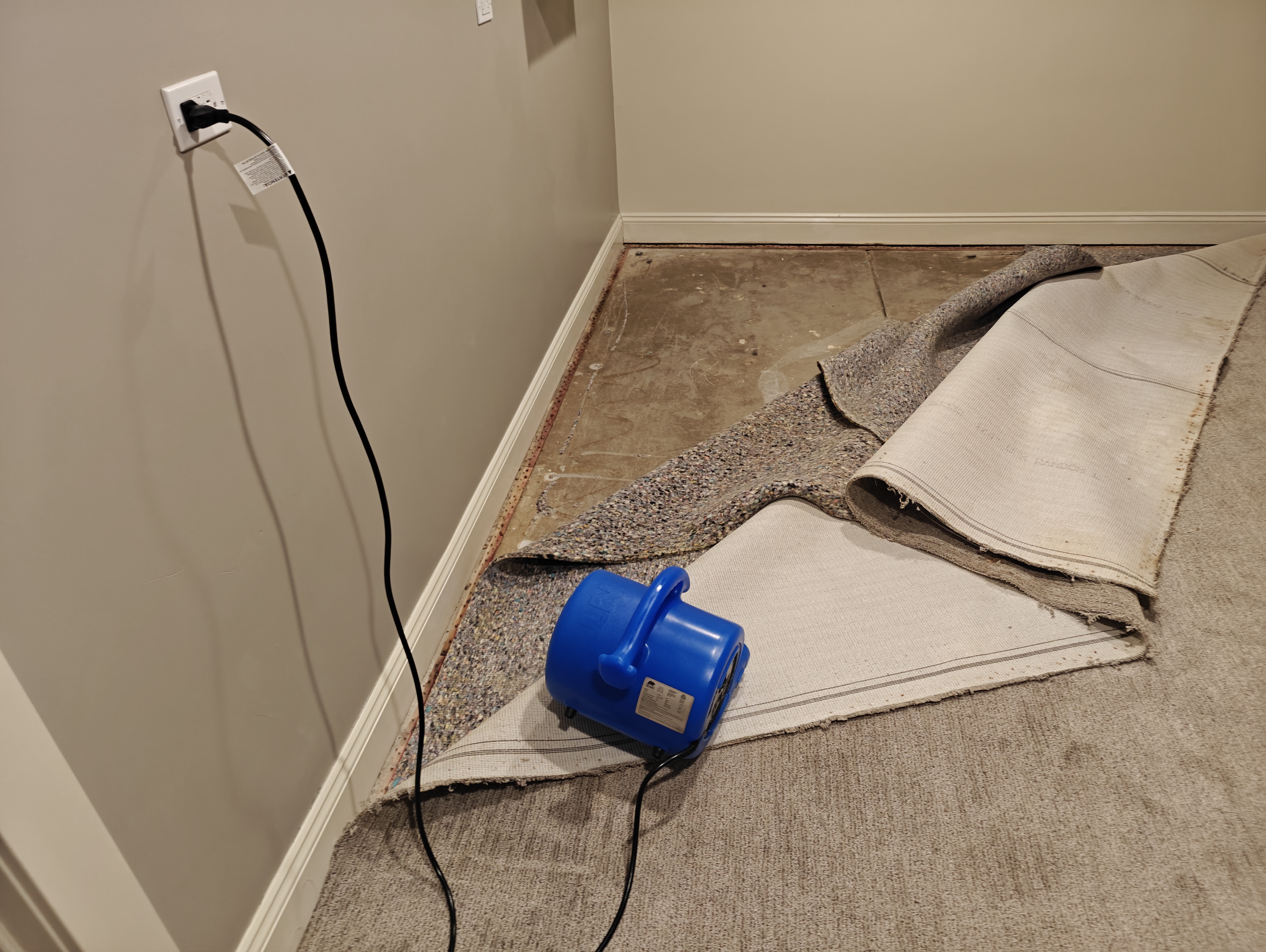 Johnny On The Spot Carpet, Upholstery & Oriental Rug Cleaning Image