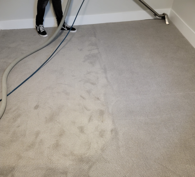 Johnny On The Spot Carpet, Upholstery & Oriental Rug Cleaning Image