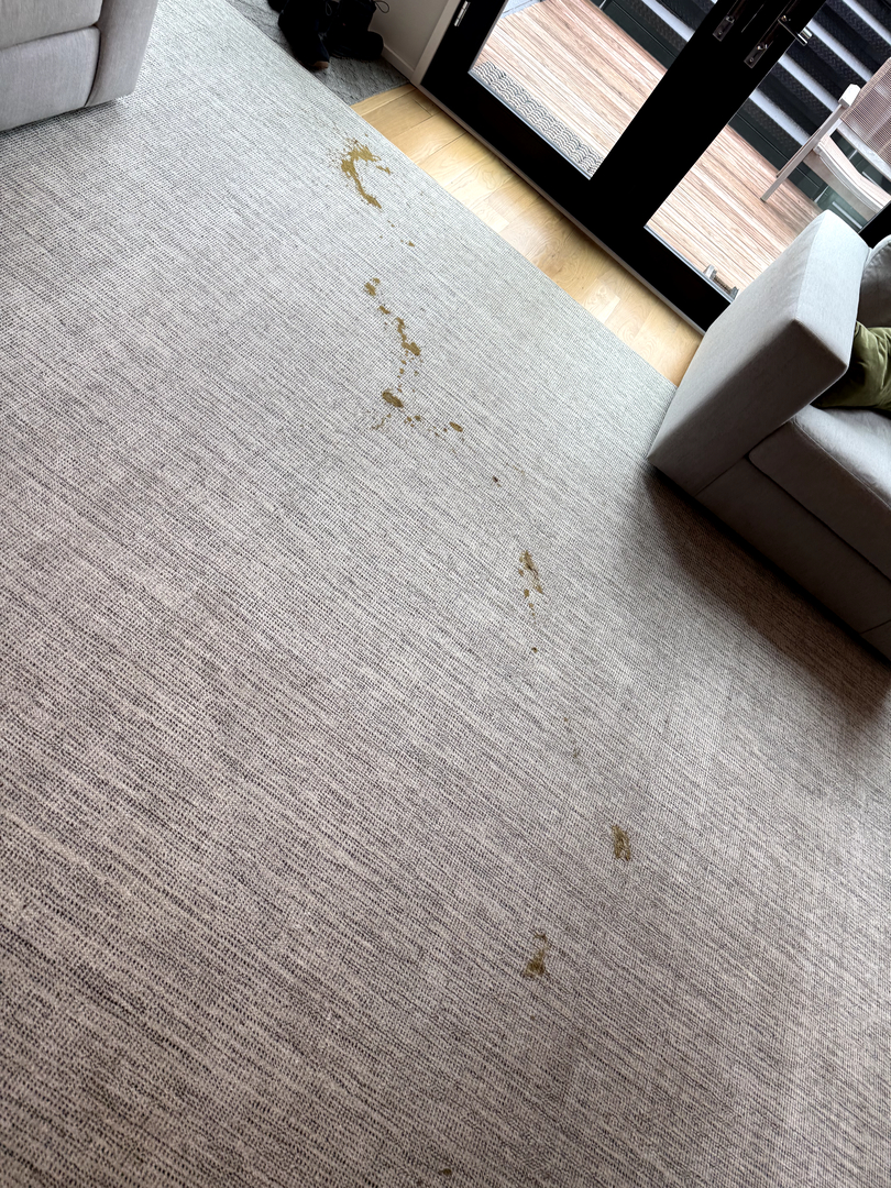 Johnny On The Spot Carpet, Upholstery & Oriental Rug Cleaning Image