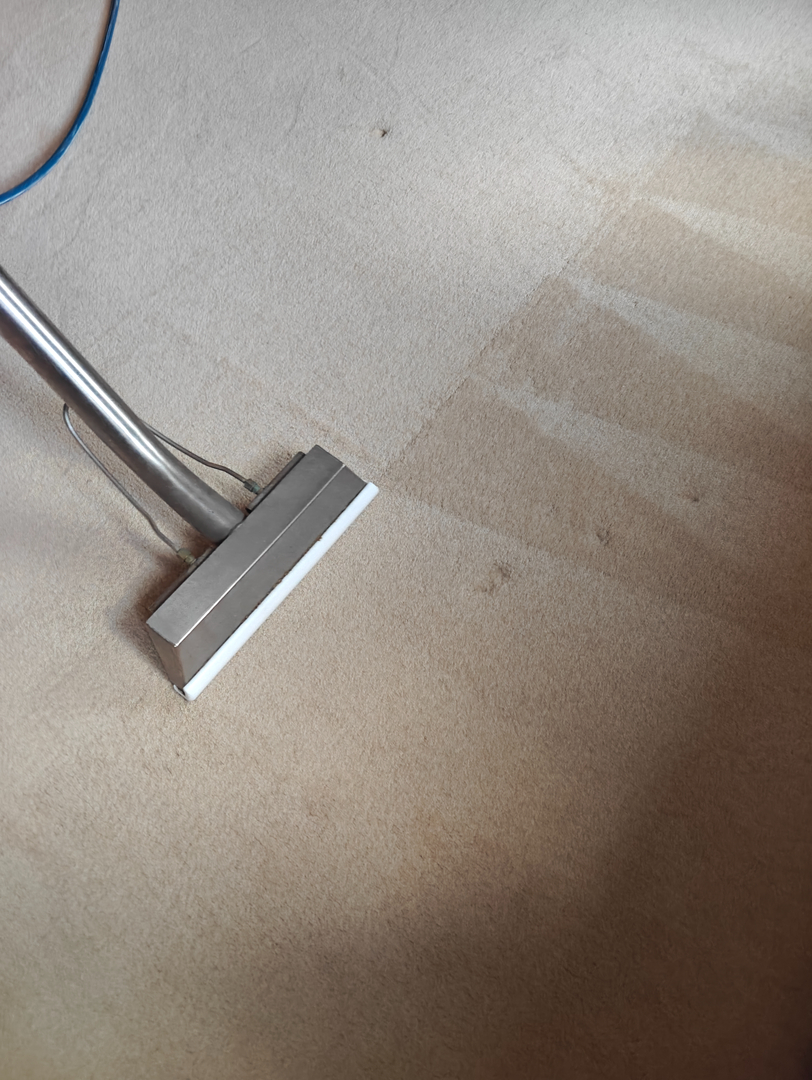 Johnny On The Spot Carpet, Upholstery & Oriental Rug Cleaning Image