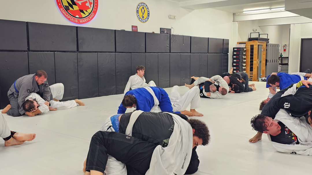 Team Randori Martial Arts Image