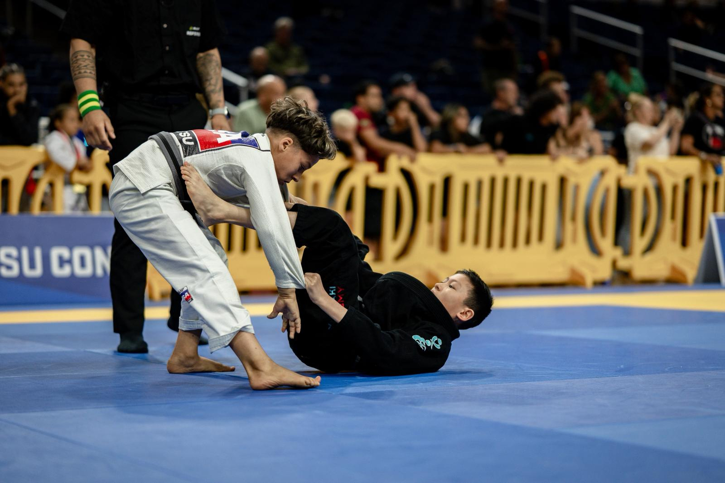 Team Randori Martial Arts Image