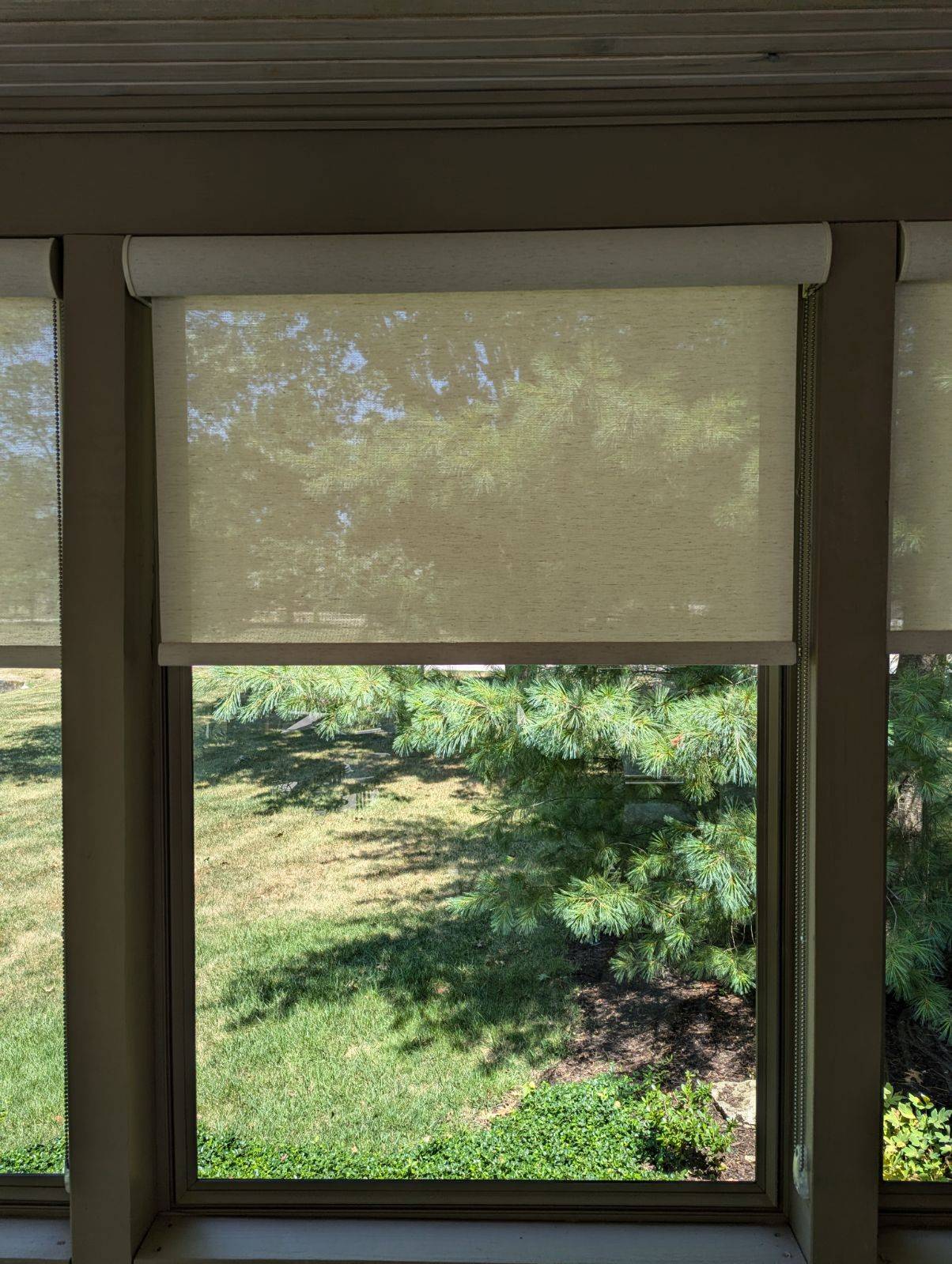 The Blinds Man Image