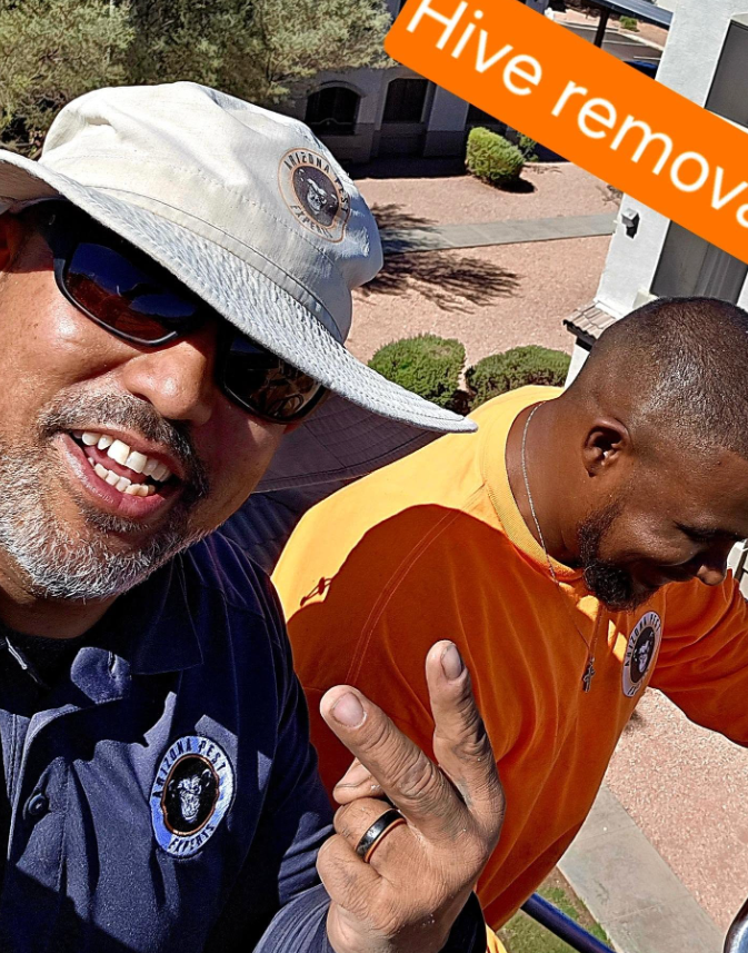Arizona Pest Experts - Payson, AZ