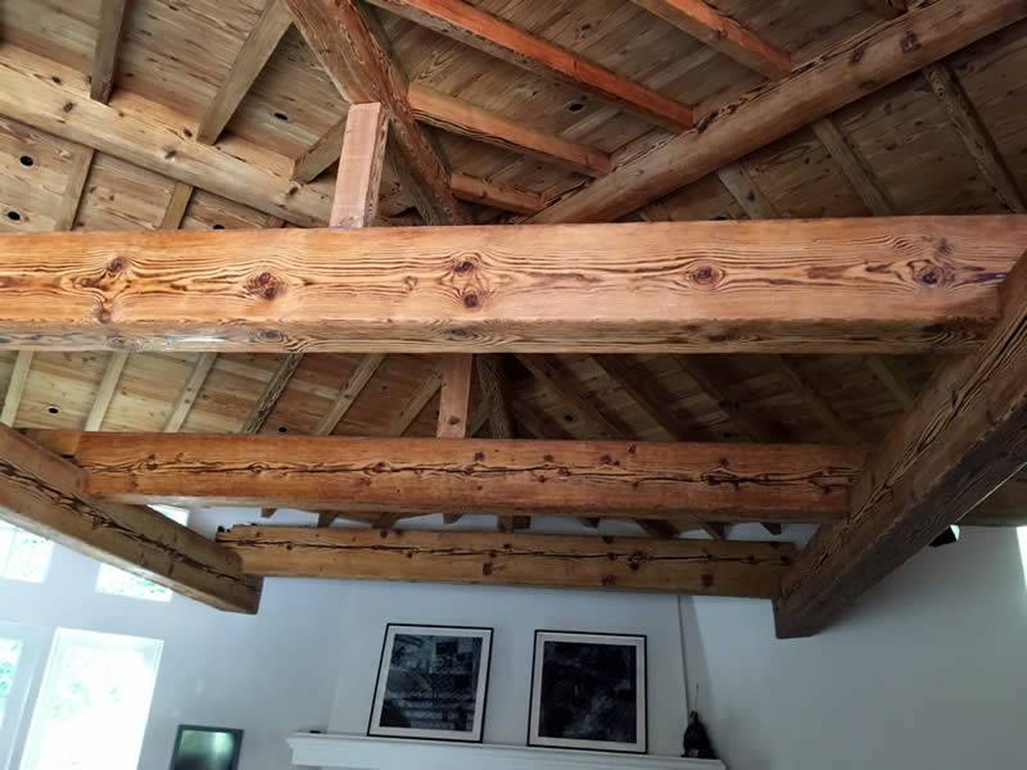 Paldino Architects & Construction Image