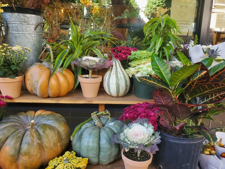 Botanica Floral + Home Image