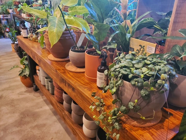 Botanica Floral + Home Image