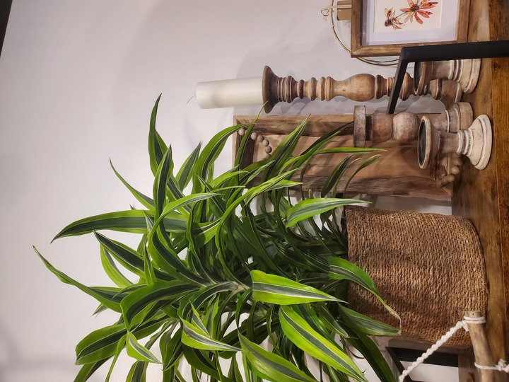 Botanica Floral + Home Image