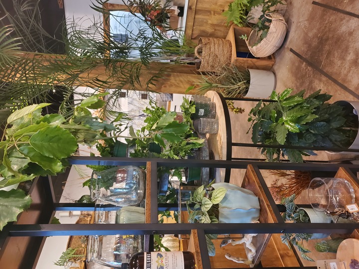 Botanica Floral + Home Image