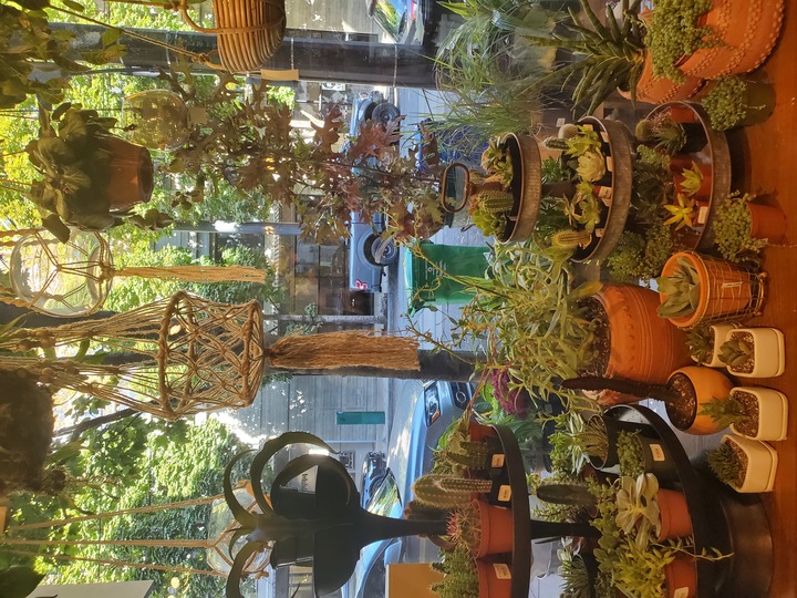 Botanica Floral + Home Image