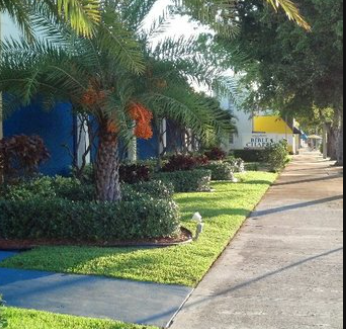 Jm Xelandscaping Logo