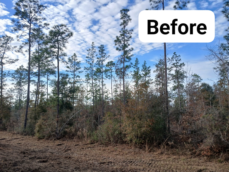 Peters Land Services LLC Image