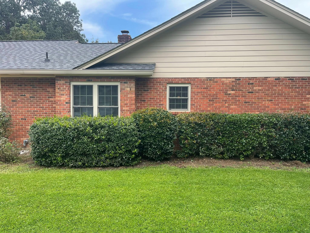 WinChoice - Mountain Pine, AR