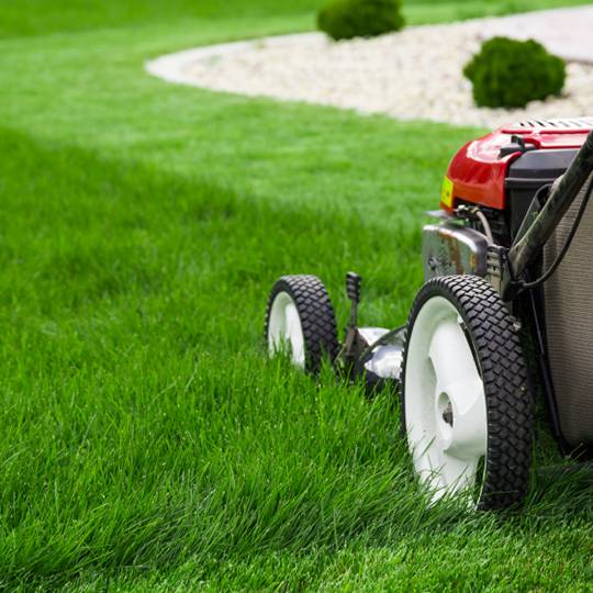Roberts & Sons Lawn Care Image