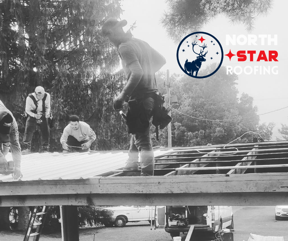 North Star Roofing Image